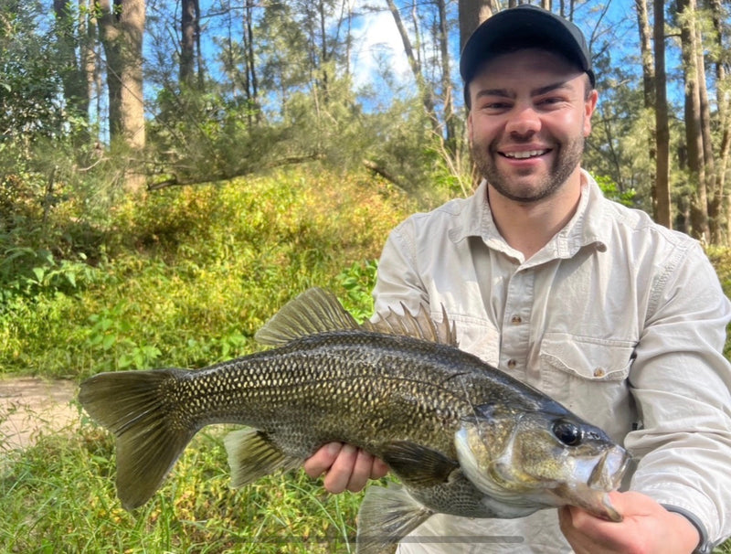 Meet the Team: Tom