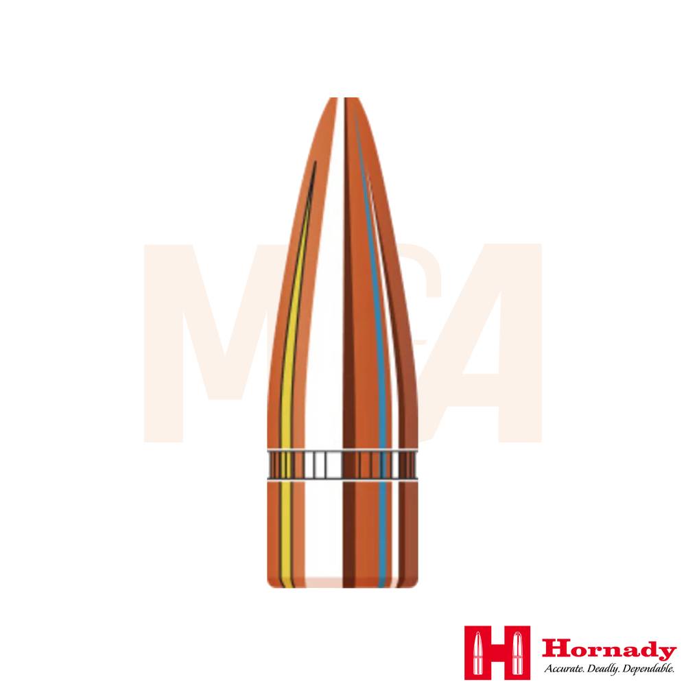 Hornady Hollow Point Projectiles