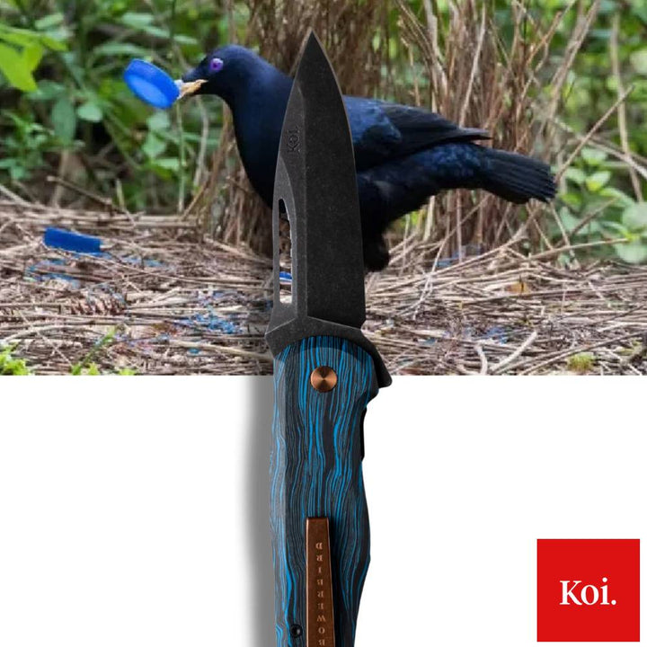 Koi Knives The Bower Bird Male EDC Pocket Knife