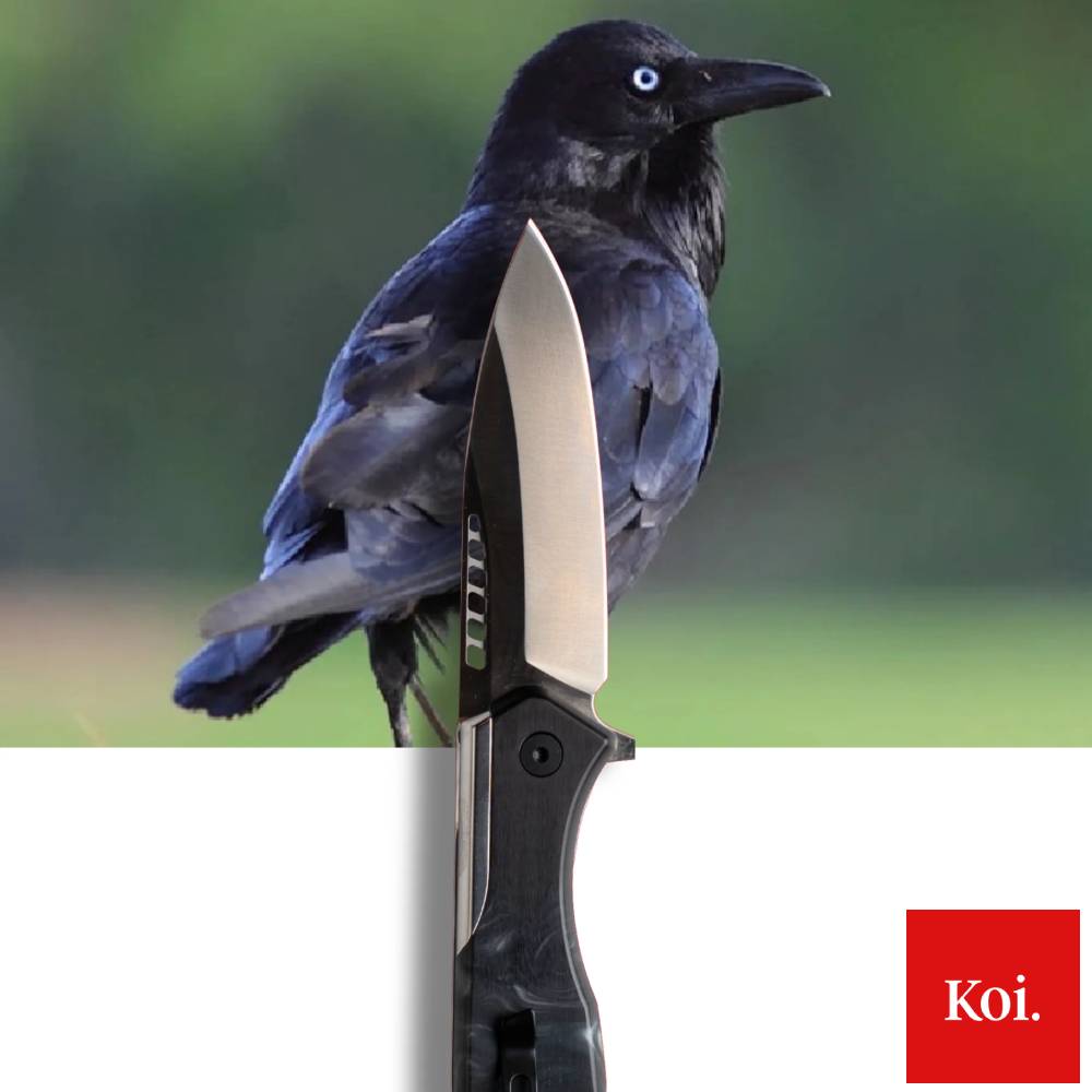 Koi Knives The Crow EDC Pocket Knife