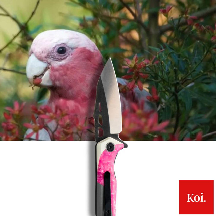 Koi Knives The Galah EDC Pocket Knife