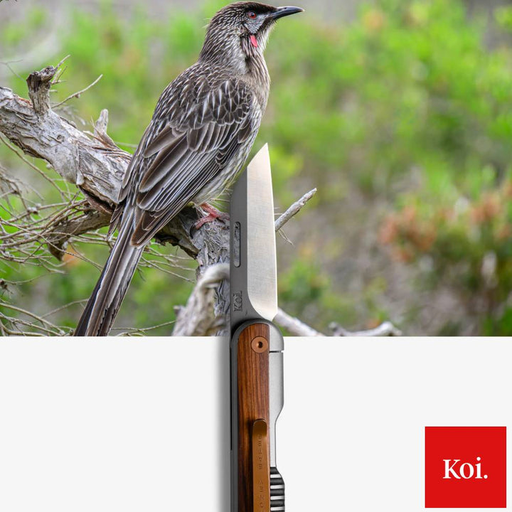 Koi Knives The Honey Eater Gentlemen's Knife