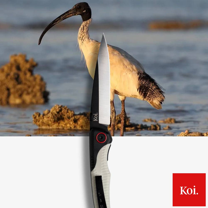 Koi Knives The Ibis EDC Pocket Knife