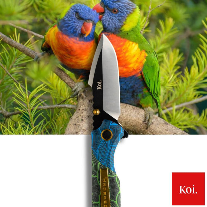 Koi Knives The Lorikeet EDC Pocket Knife