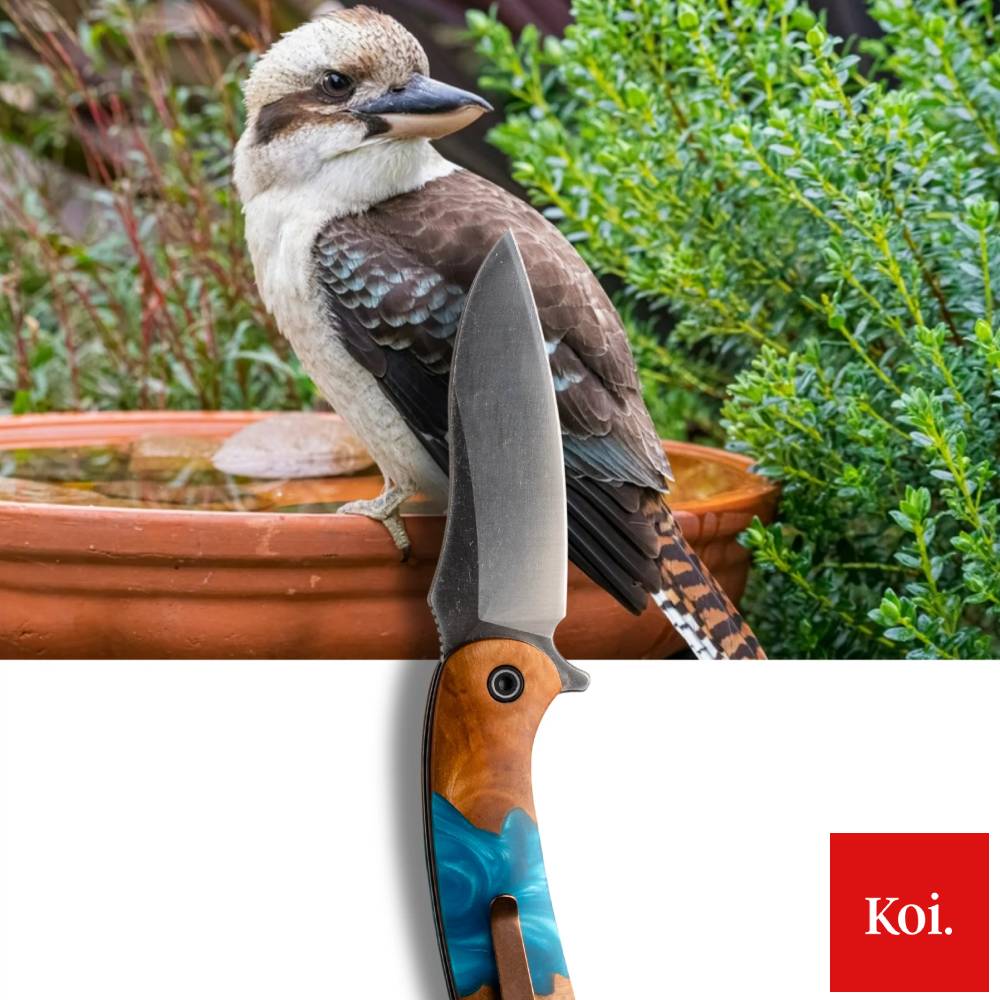 Koi Knives The Kookaburra EDC Pocket Knife