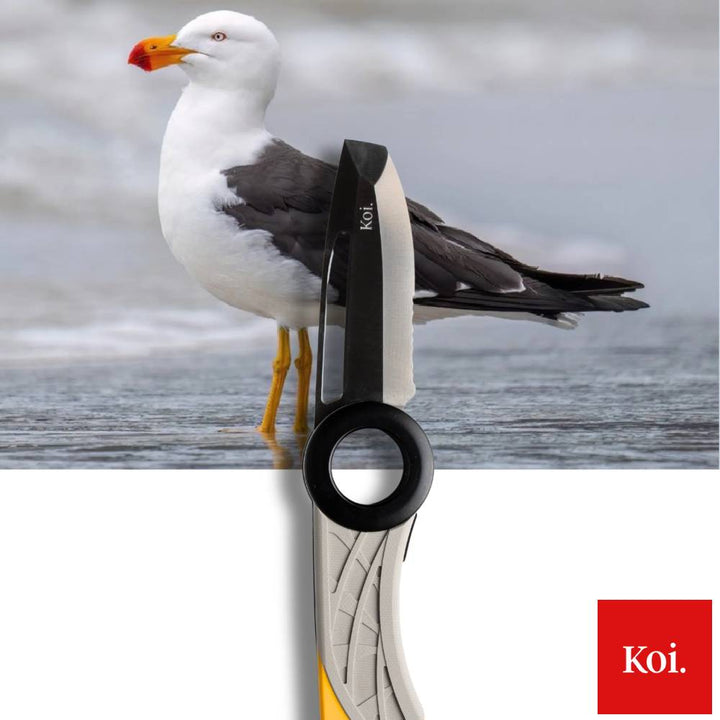 Koi Knives The Pacific Gull Fishing Knife