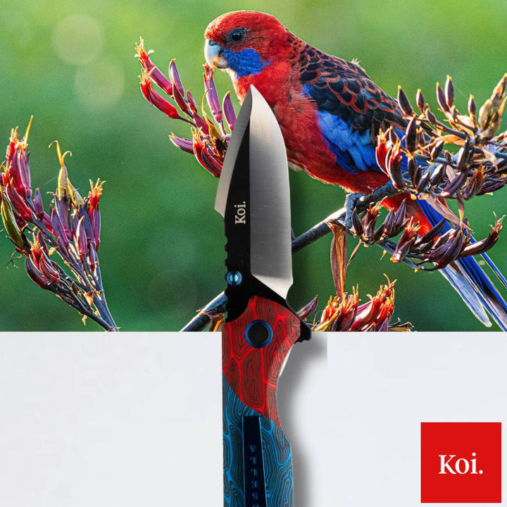 Koi Knives The Rosella EDC Pocket Knife